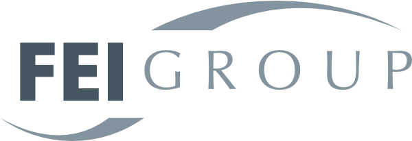 FEI Group